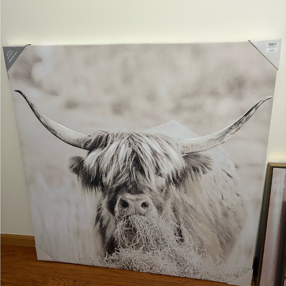 Highland Cow Canvas Wall Art